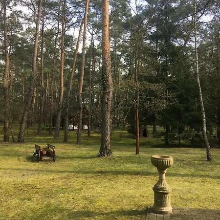 Dworek W Lesie - Nowy Obiekt Wilga