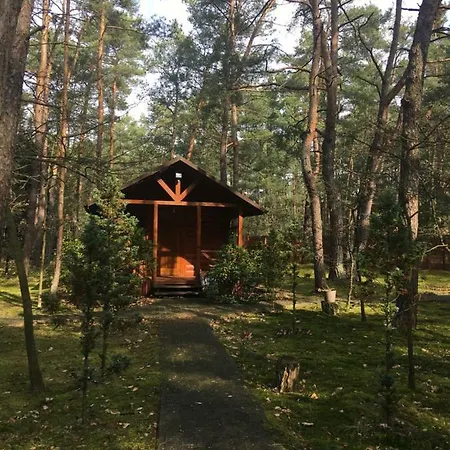 Dom wakacyjny Dworek W Lesie - Nowy Obiekt *