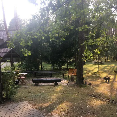 Dworek W Lesie - Nowy Obiekt Dom wakacyjny Wilga
