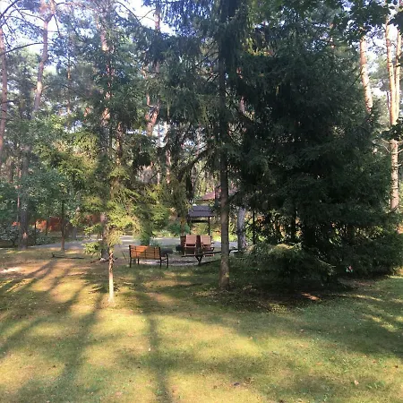 Dworek W Lesie - Nowy Obiekt * Wilga