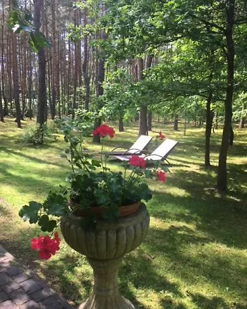 Dworek W Lesie - Nowy Obiekt * Wilga