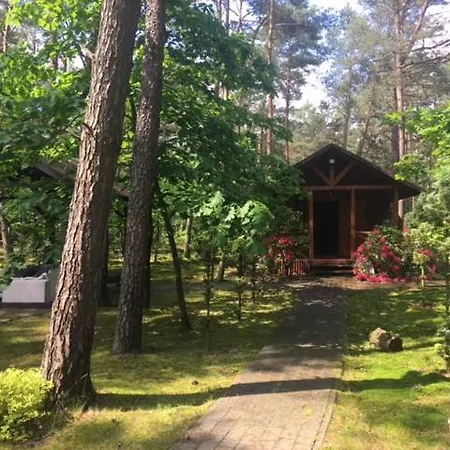 Dworek W Lesie - Nowy Obiekt Dom wakacyjny *